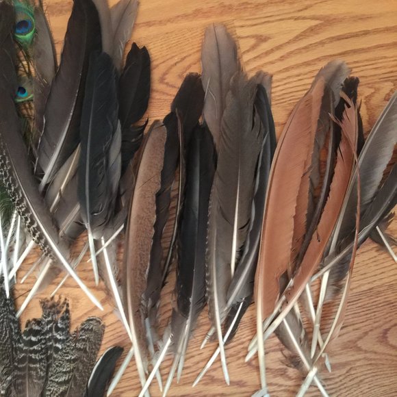 LOT 140 NATURAL PEACOCK BIRD FEATHER BOHO FESTIVAL CRAFT ART HOBBY COSTUME DECOR - Picture 15 of 16